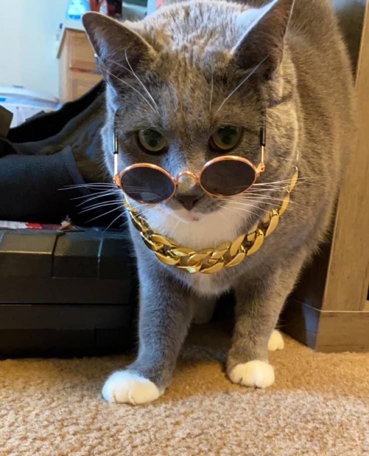 Подборка прикольных картинок Подборка прикольных картинок приколы,смешные картинки,юмор