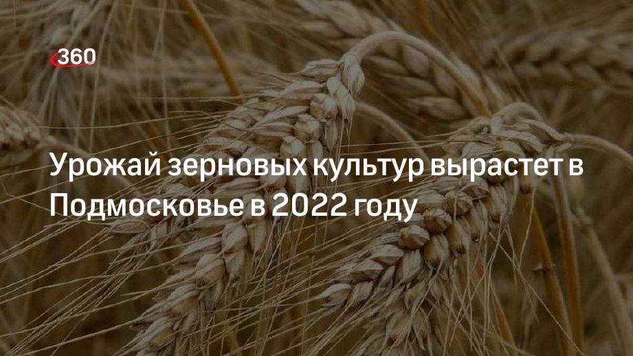 Урожай зерновых культур вырастет в Подмосковье в 2022 году