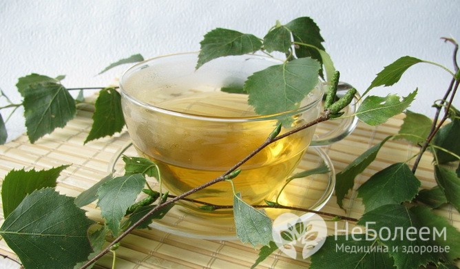 Домашние средства, помогающих при желчнокаменной болезни: настой листьев березы 