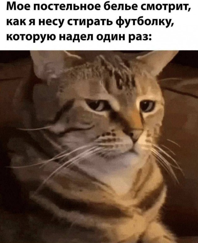 Юмор для тех, кто уже повзрослел и понял, что «приоритеты» - это сначала налить кофе, а потом спасать мир 