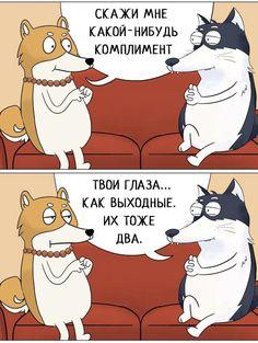 Тараканов в моей голове сожрала белочка Тараканов в моей голове сожрала белочка анекдоты,веселые картинки,демотиваторы,юмор