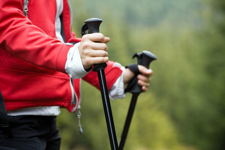 Скандинавская ходьба с палками: как правильно ходить и что она дает здоровье,скандинавская ходьба,упражнения