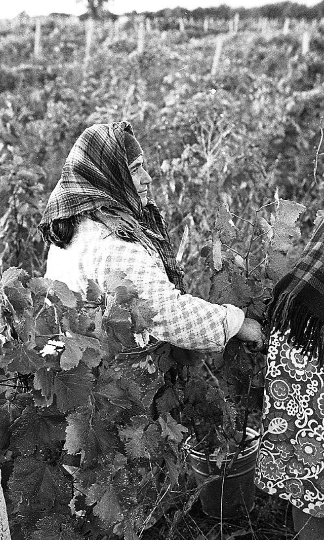 Повседневная жизнь в советской Грузии 1976 года в фотографиях шведского фотографа Грузия,история