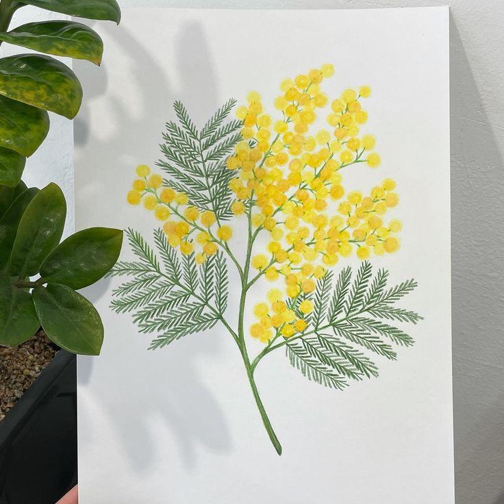 50+ идей рисунков на 8 марта: что можно нарисовать к празднику с детьми нарисовать, гуашь, кисть, несколько, можно, чтобы, Затем, цвета, краску, нужно, кисточку, рисунок, немного, фломастеры, затем, нарисуйте, помощью, картон, сделать, использовать