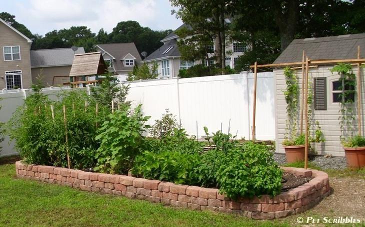 Тридцать превосходных идей, как огородить грядки на садовом участке для дома и дачи,идеи и вдохновение