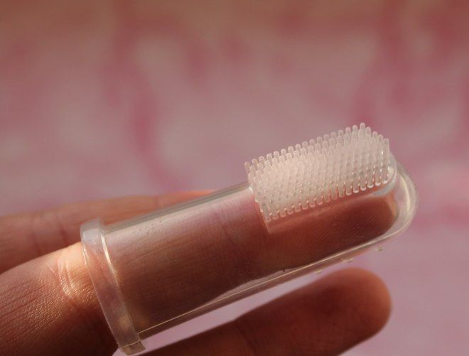 Чистка зубов собаке – выбор подходящего средства, правила чистки, особенности ультразвуковой процедуры наши любимцы,полезные советы