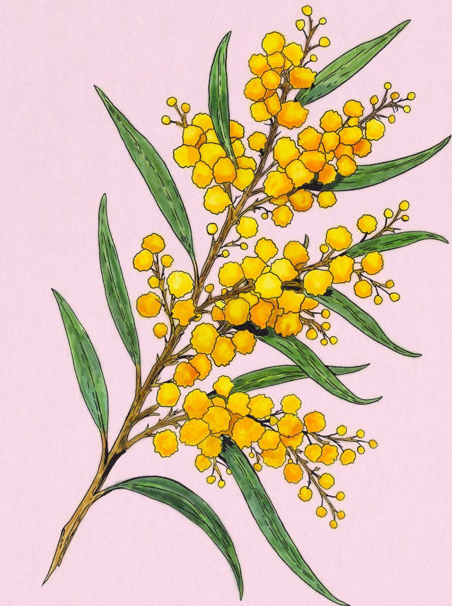 50+ идей рисунков на 8 марта: что можно нарисовать к празднику с детьми нарисовать, гуашь, кисть, несколько, можно, чтобы, Затем, цвета, краску, нужно, кисточку, рисунок, немного, фломастеры, затем, нарисуйте, помощью, картон, сделать, использовать