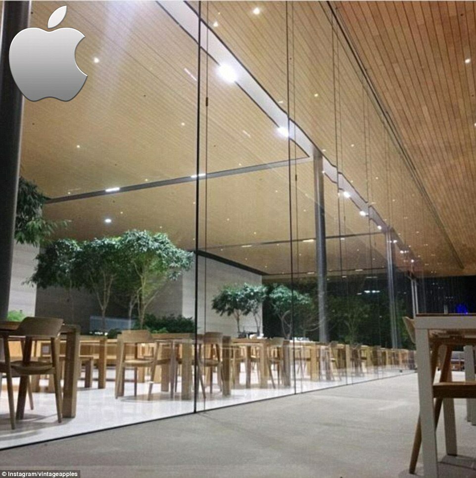 Что подают в корпоративных столовых Google, Apple и Pixar