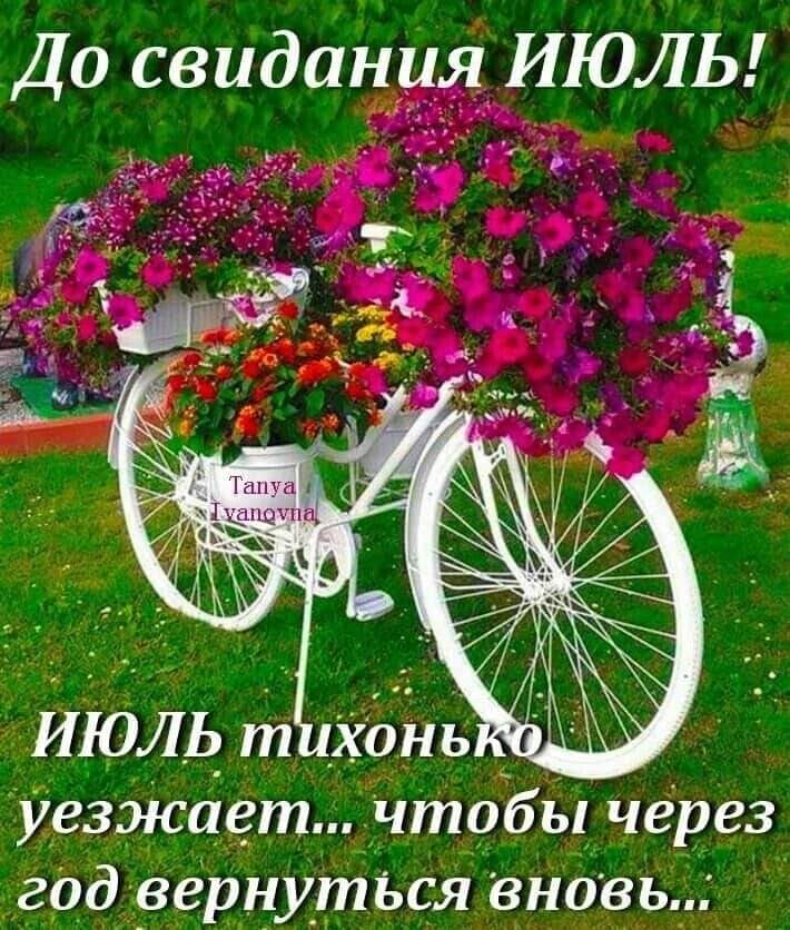 Лучшие короткие шутки в картинках для отличного дня! Лучшие короткие шутки в картинках для отличного дня!