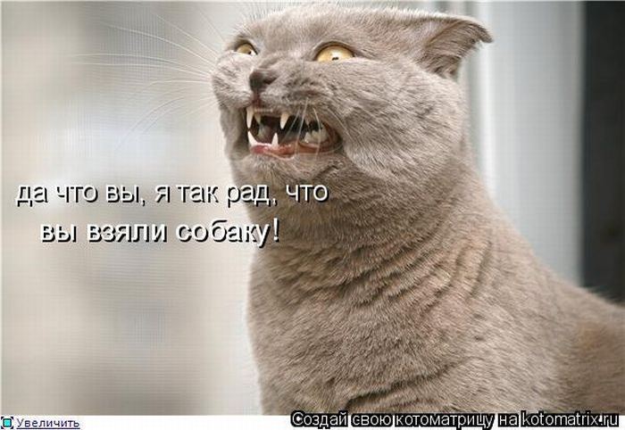 Мысли вслух :)
