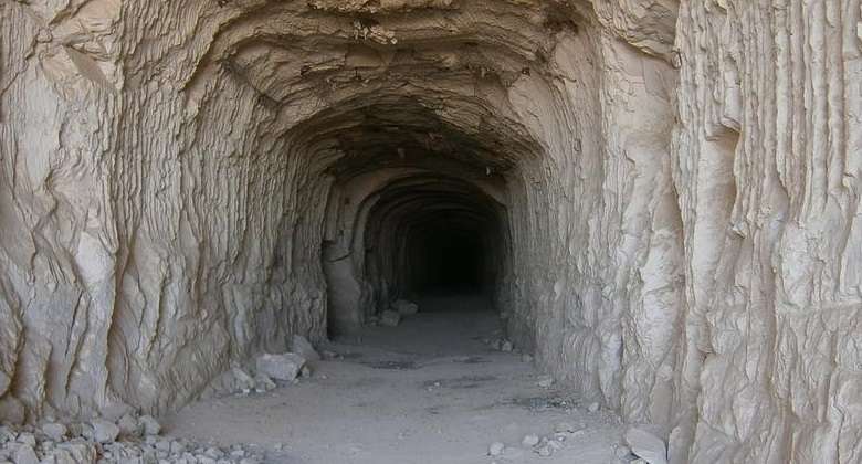 Ученые обнаружили в крымской пещере останки древнего медведя