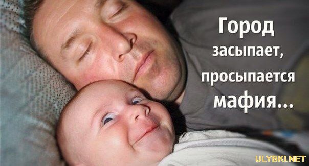 Милейший пост о самых сладких снах Милейший пост о самых сладких снах животные,Истории из жизни,позитив,Смешные животные