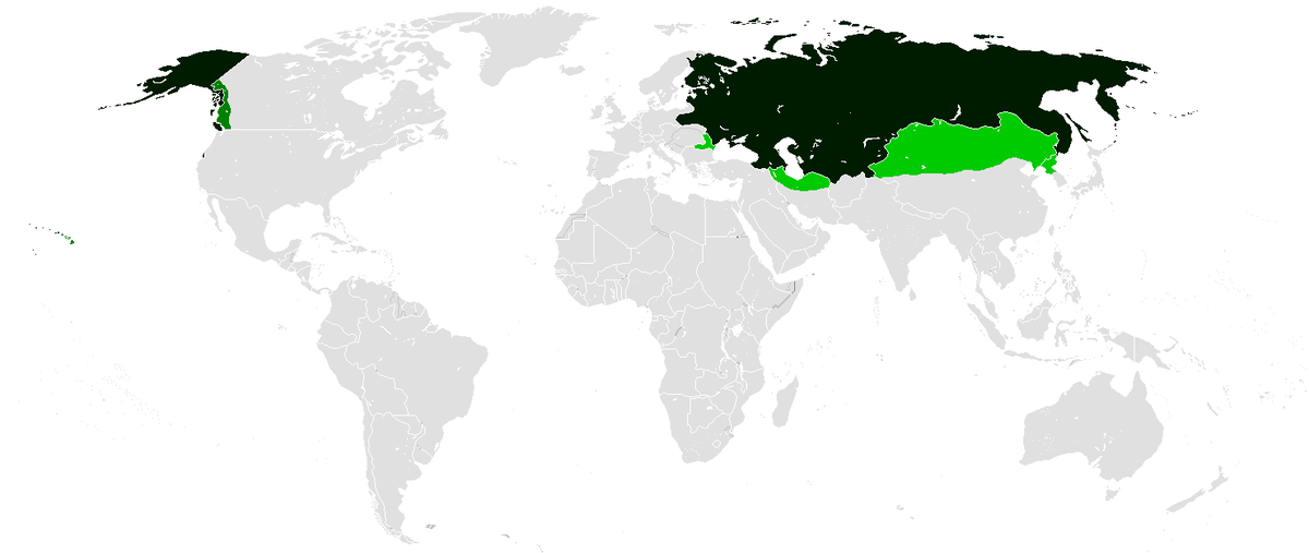 Вместо 1000 слов: Как никчемный, ни на что не способный народ сумел создать такое государство? государство, народ, русские, словами, тогда, способный, никчемный, русофобы, русский, Империи, гордые, такое, опять, такие, Русское, народы, ничего, посмотрите, только, частях