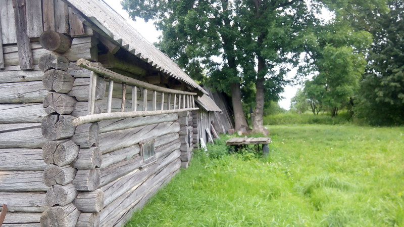 Фото псковских деревень. Деревня рогозки Псковской области. Псковская область деревня Гнилище. Крушинино Опочецкий район. Оклюже деревня в Псковской области.