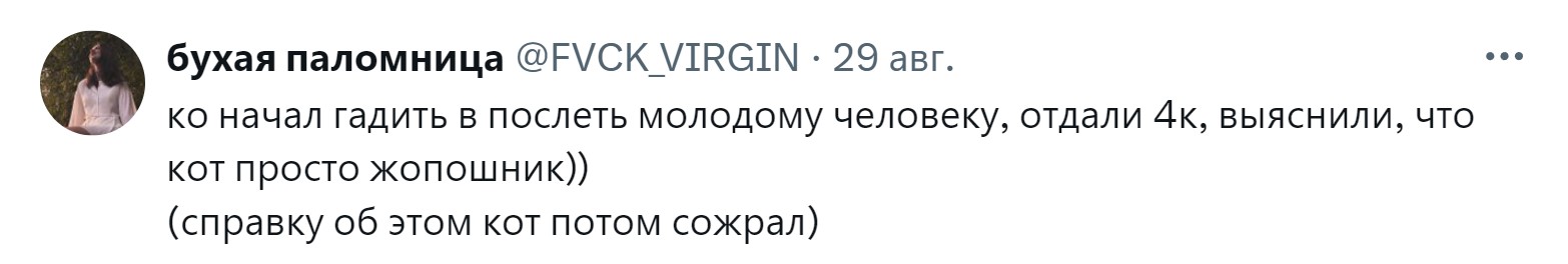 «Новообразование оказалось пупком»: 15 забавных причин, зачем питомцев возили к ветеринару правда, нужно, чтобы, кошки, совершенно, случае, возили, животных, животное, может, можно, своих, просто, узнать, ветеринару, внимание, Другое, Иногда, хозяин, начнёт