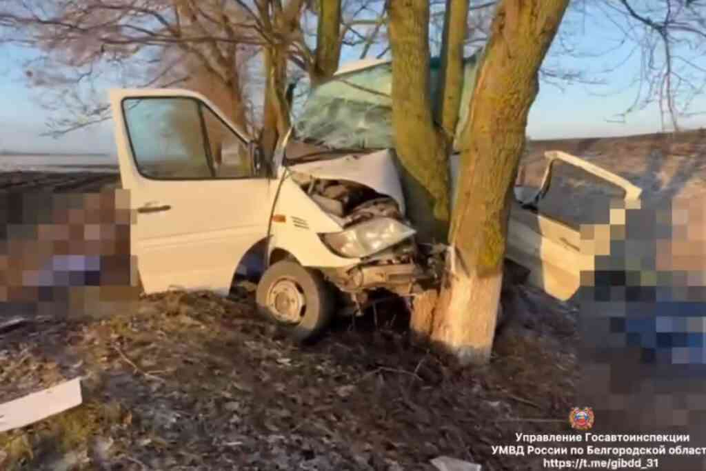 Автобус с грузовиком столкнулись на трассе «Белгород — М4 «Дон», есть погибшие
