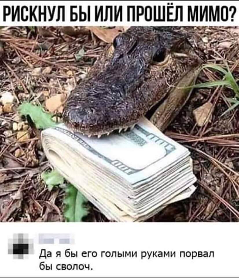 Петька, а известно ли тебе, что такое перспектива?