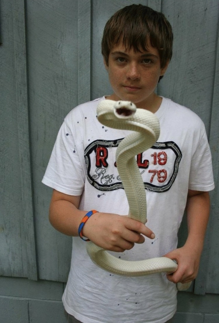 17 крутых кадров, которые мог сделать только истинный везунчик 