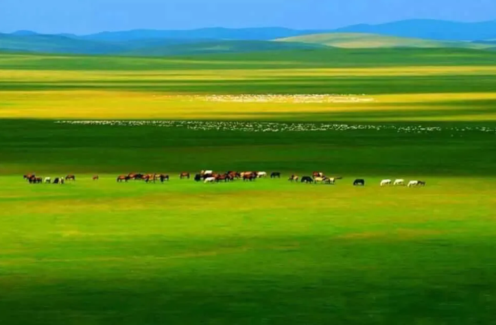 Просторы Монголии (фото с сайта Pinterest)