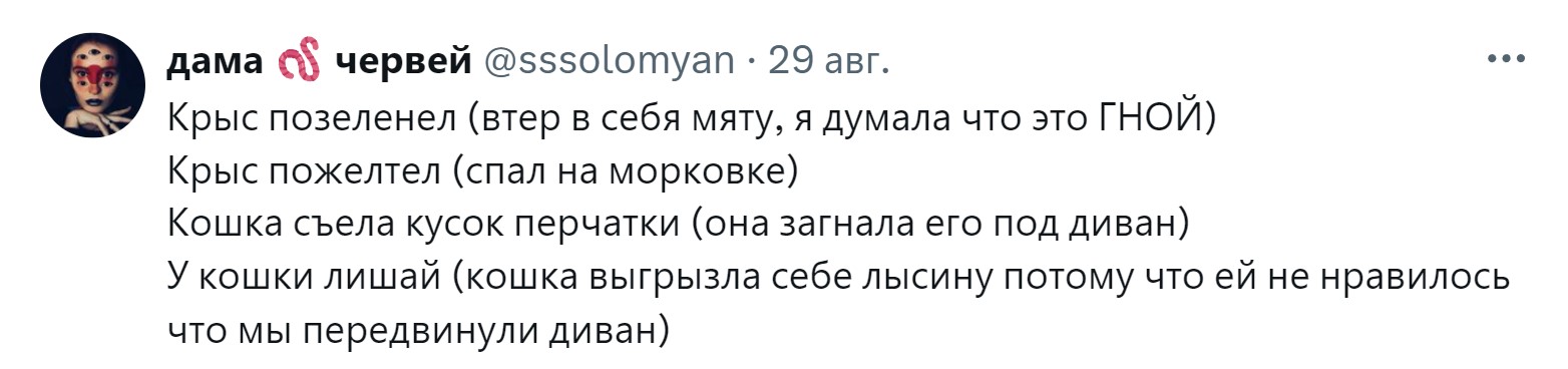 «Новообразование оказалось пупком»: 15 забавных причин, зачем питомцев возили к ветеринару правда, нужно, чтобы, кошки, совершенно, случае, возили, животных, животное, может, можно, своих, просто, узнать, ветеринару, внимание, Другое, Иногда, хозяин, начнёт