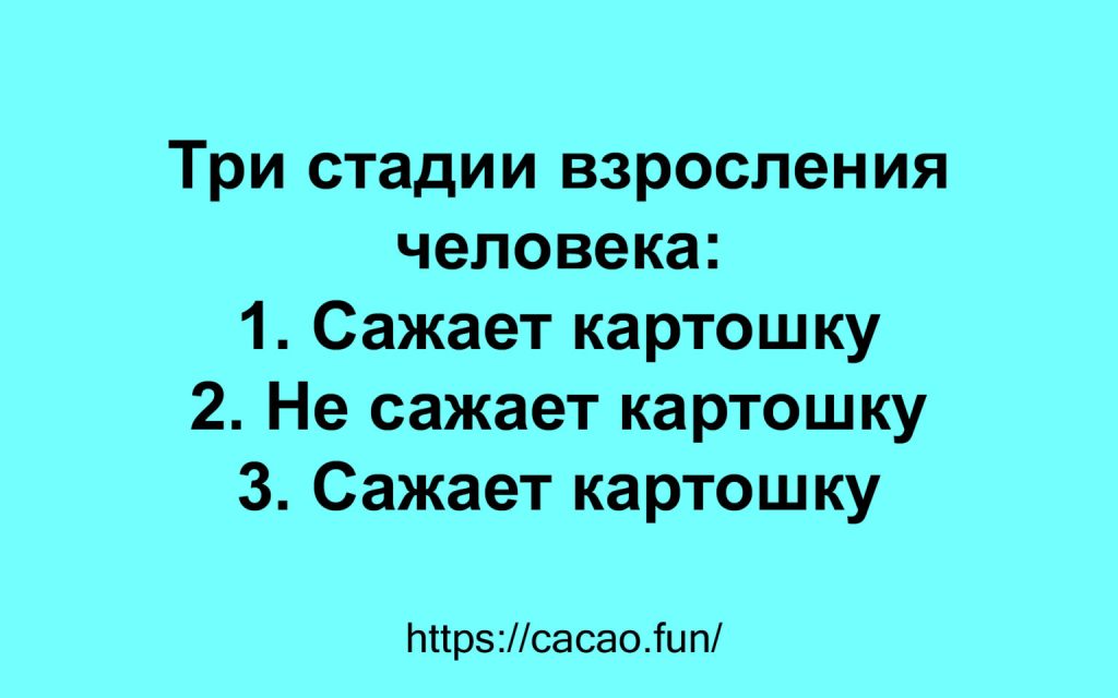 Поднимаем настроение: яркие афоризмы и анекдоты 