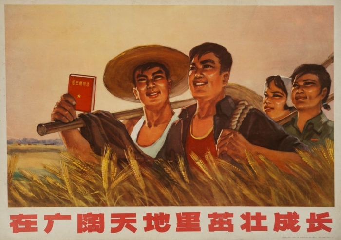 Плакат «Под общим небом и на общей земле», Китай, 1970-е гг