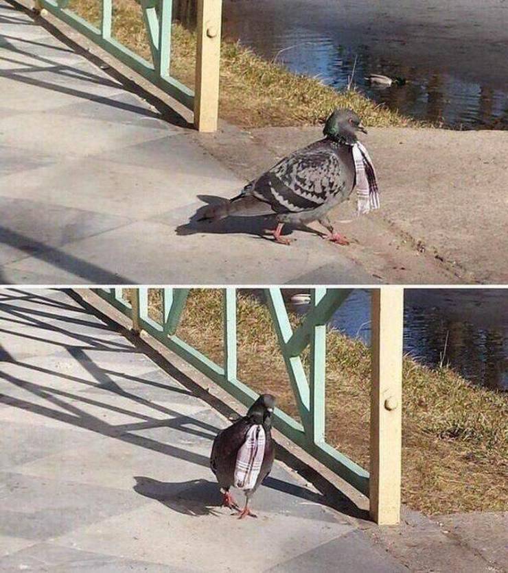 Подборка прикольных картинок.   приколы,смешные картинки,юмор