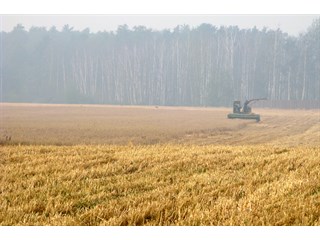 Зерно может стать следующим фронтом в торговой войне