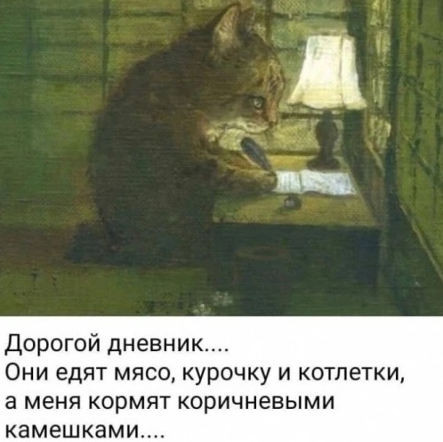 Когда водитель со стажем вставляет флешку в компьютер, он по привычке ее поворачивает Когда водитель со стажем вставляет флешку в компьютер, он по привычке ее поворачивает
