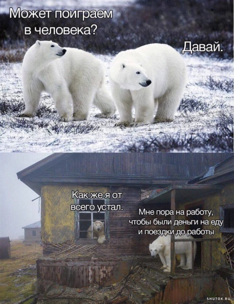 Утренний юмор Утренний юмор