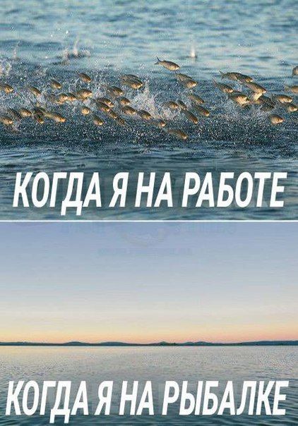 Сборная юмора для позитивного дня Сборная юмора для позитивного дня