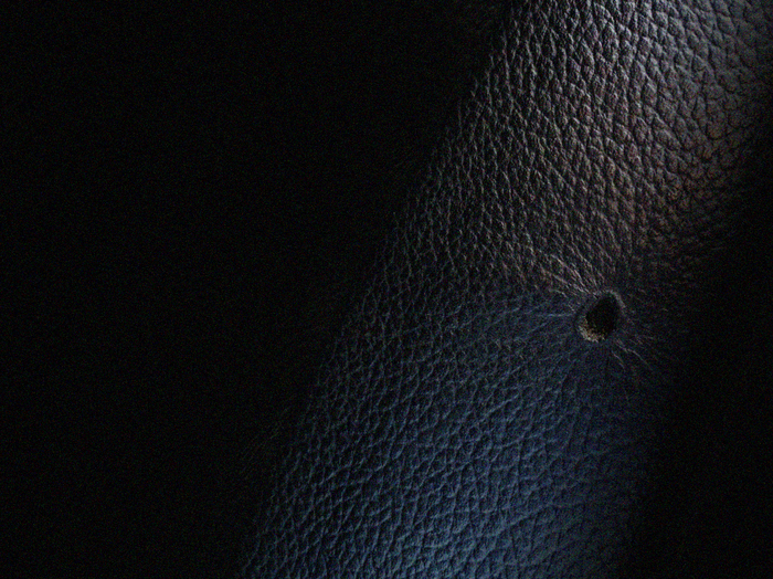 Поймал дуру мой Аккорд Поймал дуру мой Аккорд автомобили