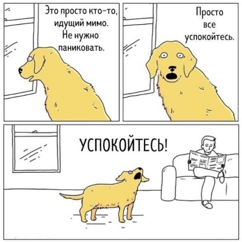 Свежие прикольные картинки Свежие прикольные картинки