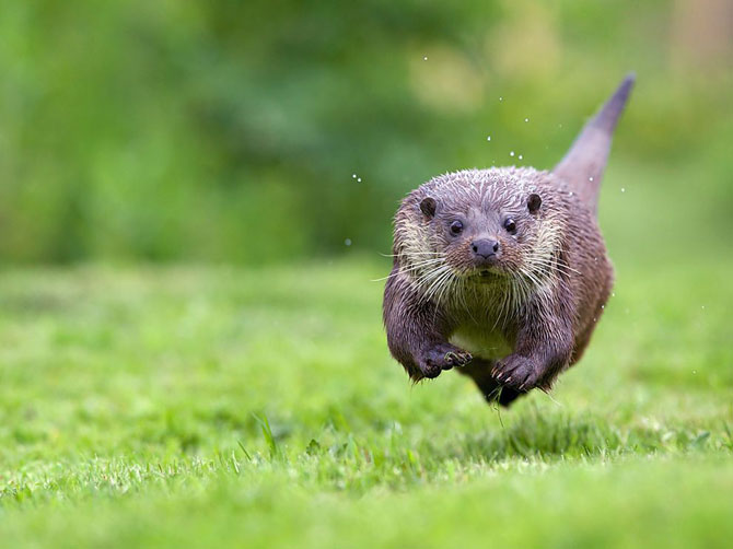 Лучшие фотографии National Geographic за июль 2014