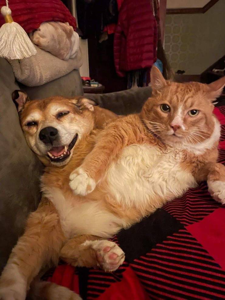 Подборка прикольных картинок.   приколы,смешные картинки,юмор