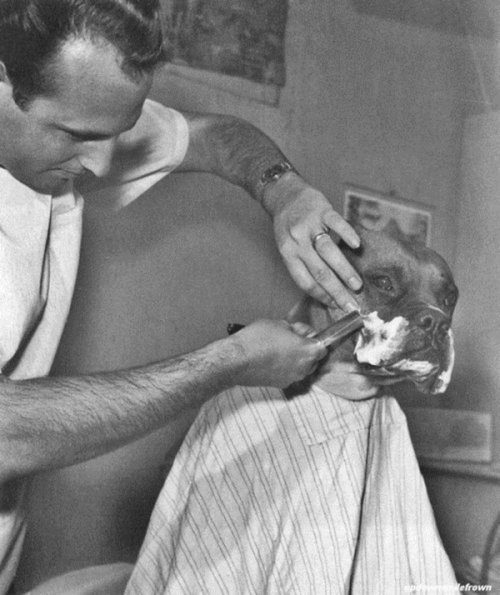 Тут происходят всякие странности... Тут происходят всякие странности... позитив