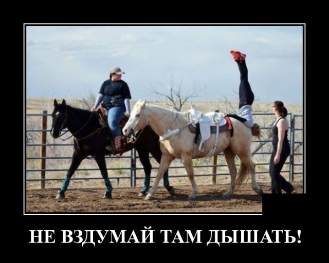 Подборка зачетных и забавных демотиваторов из сети для позитива