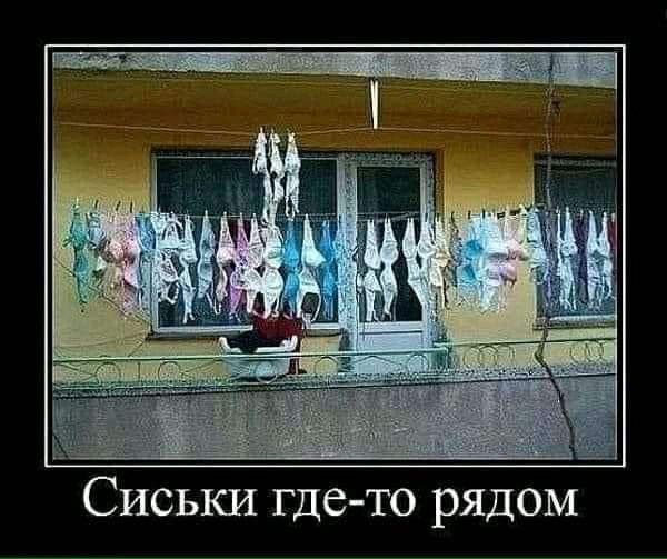 - Люся, а где твой любимый молодой человек?... Весёлые,прикольные и забавные фотки и картинки,А так же анекдоты и приятное общение