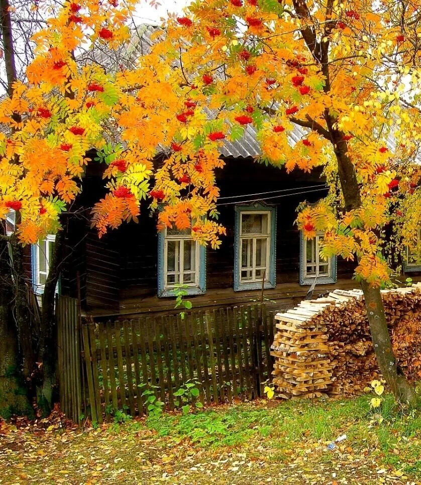 Думаю, что мы едва ли не последнее поколение, выросшее на натуральной здоровой пище... Думаю, что мы едва ли не последнее поколение, выросшее на натуральной здоровой пище... Истории из жизни,позитив,эту страну не победить