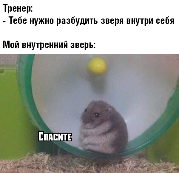 Веселые, смешные и прикольные фотографии из сети с надписями Веселые, смешные и прикольные фотографии из сети с надписями картинки с надписями,красивые фотографии,прикольные картинки,смешные комментарии,угарные фотки,юмор