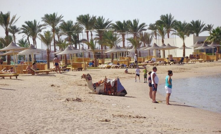 Спор в Египте с литовцем о Крыме