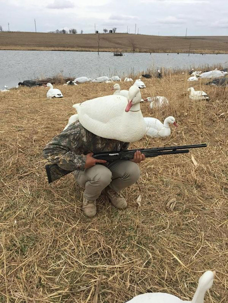 Ну, так, чисто поржать приколы, смех, юмор