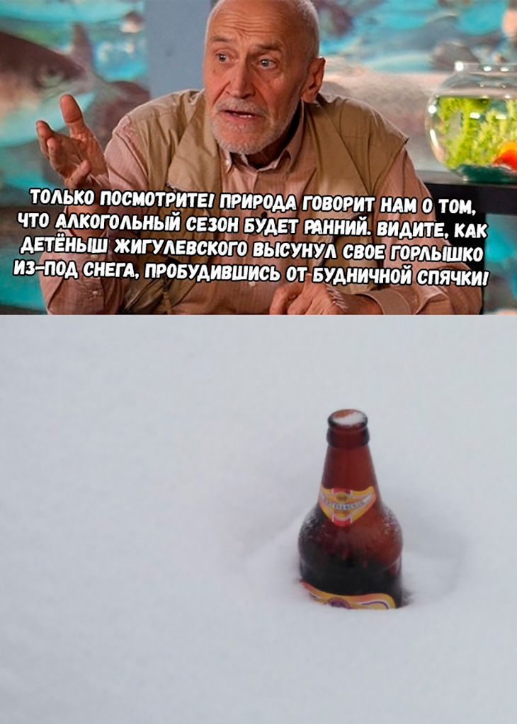 Свеженькие мемы и приколы Свеженькие мемы и приколы