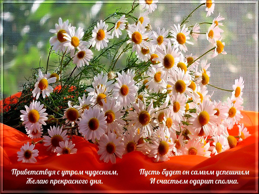 День, желаю прекрасного дня открытка