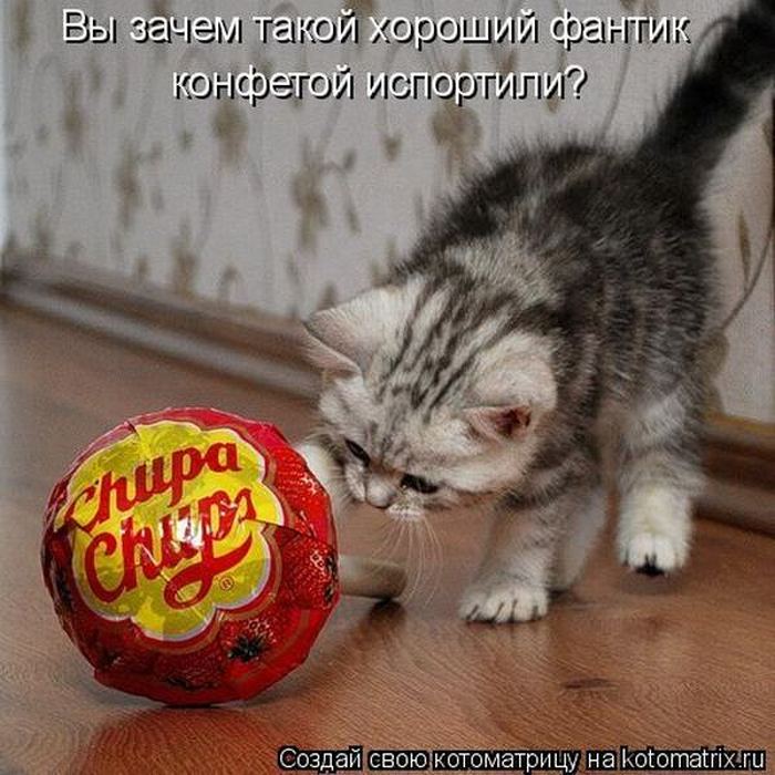 Мысли вслух :)