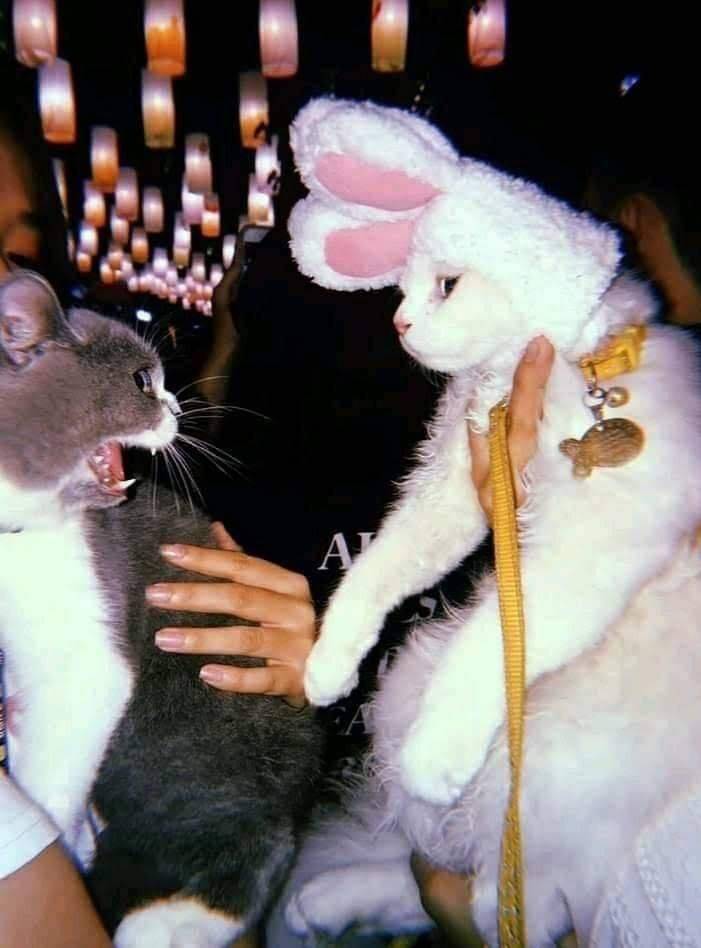 Подборка прикольных картинок Подборка прикольных картинок приколы,смешные картинки,юмор