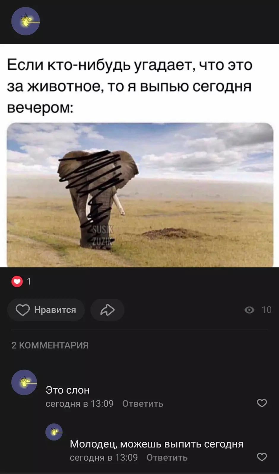 Чудеса сообразительности. 