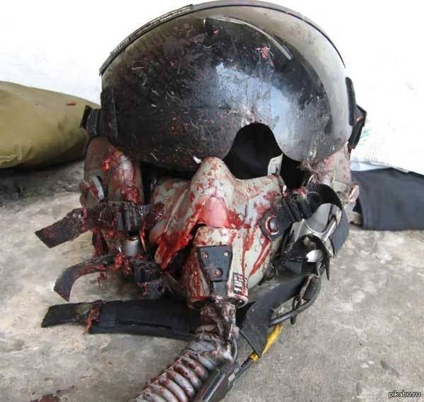 Самолет vs птицы – фатальное противостояние ввс