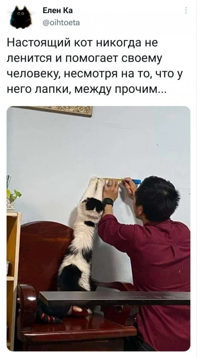 Забавные комментарии, словно острый соус, оживляющие каждый пост Забавные комментарии, словно острый соус, оживляющие каждый пост