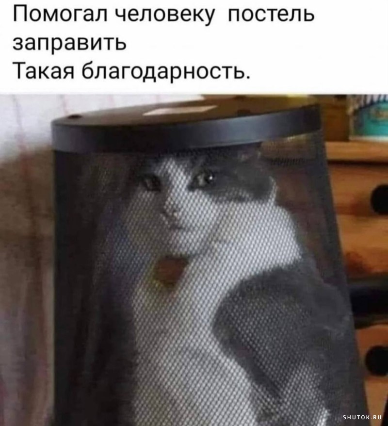 Утренний юмор Утренний юмор